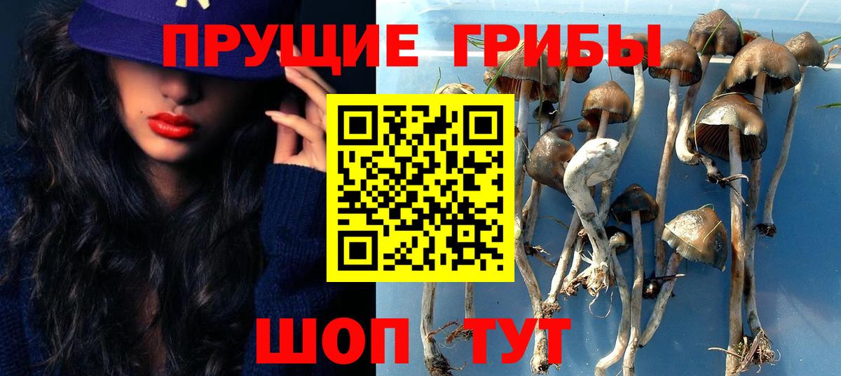 Петрозаводск  Галлюциногенные грибы мицелий  Вход с VPN 