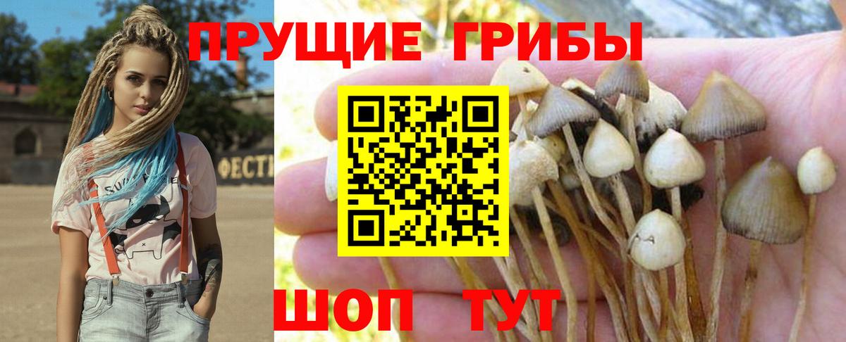 Псилоцибиновые грибы ЛСД Петрозаводск